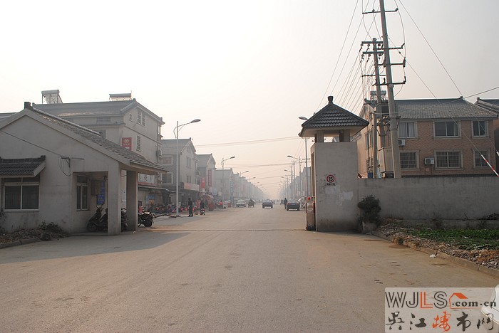 松陵城南花苑中套別墅 土地面積120㎡低價(jià)出售 簡裝